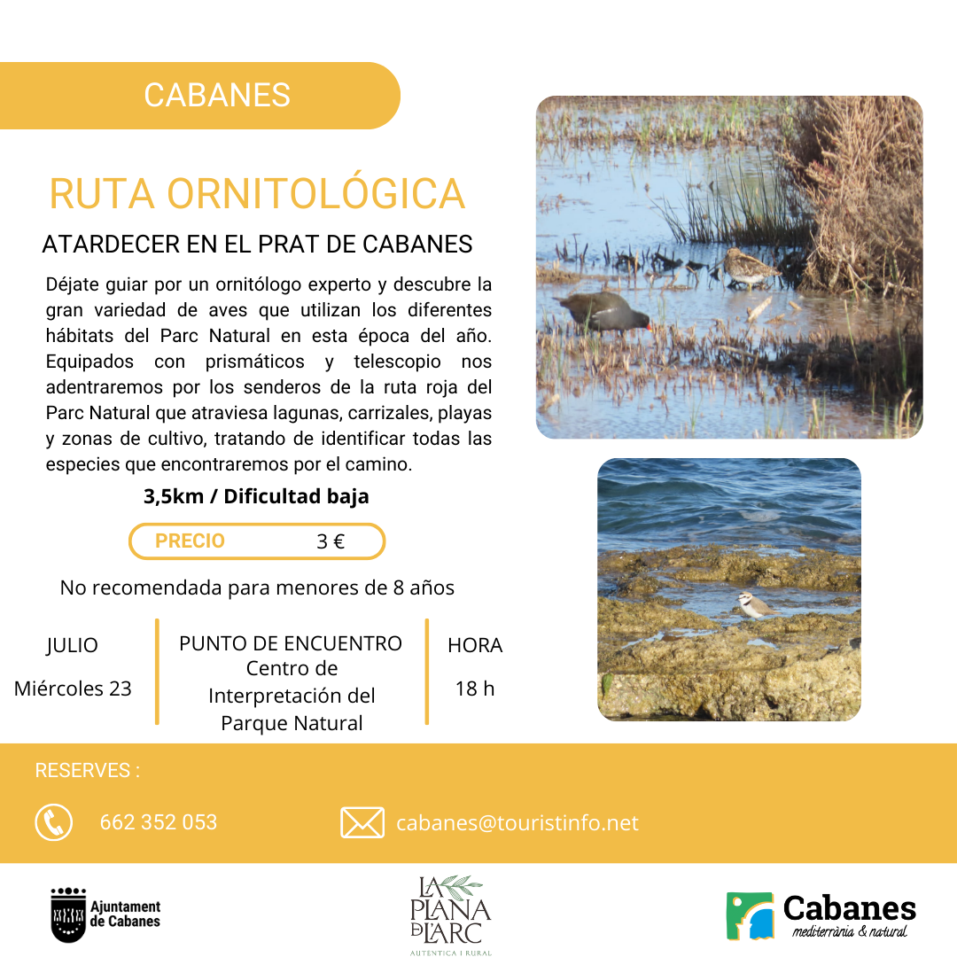 ORN JULIO PRAT CAS