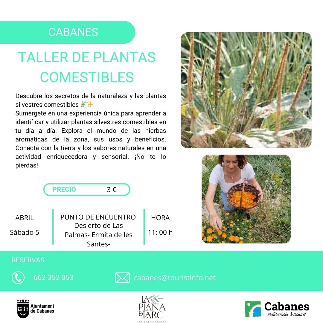 TALLER PLANTAS CAS