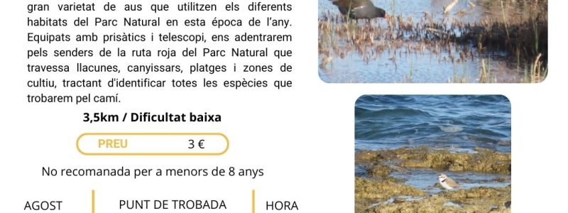 29