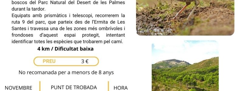 ORN DESERT VAL