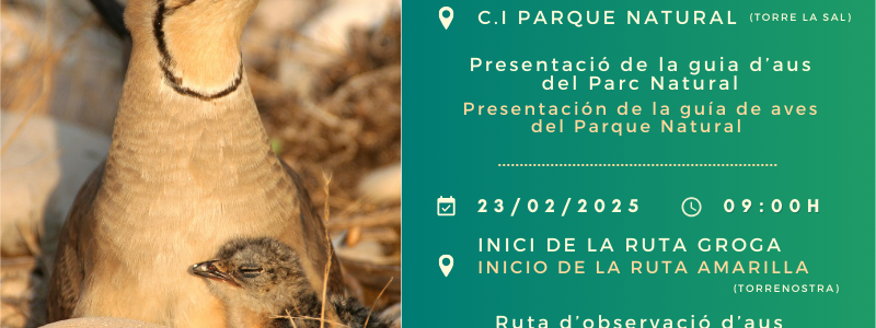 prat de cabanes torreblanca aniversari
